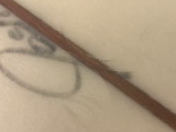 �I�[�o�[�z�[�� �W���V���z�[�� 19_5